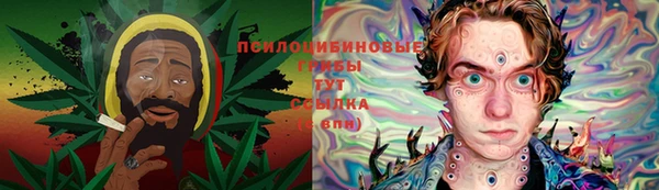 дурь Балахна
