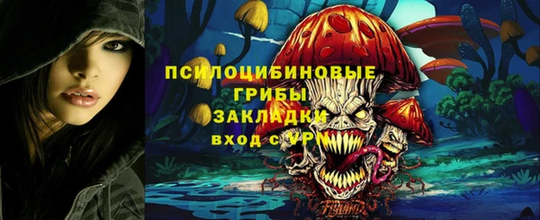 дурь Балахна