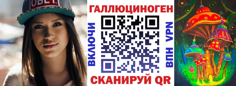 Псилоцибиновые грибы Psilocybine cubensis  Купить  Тулун 
